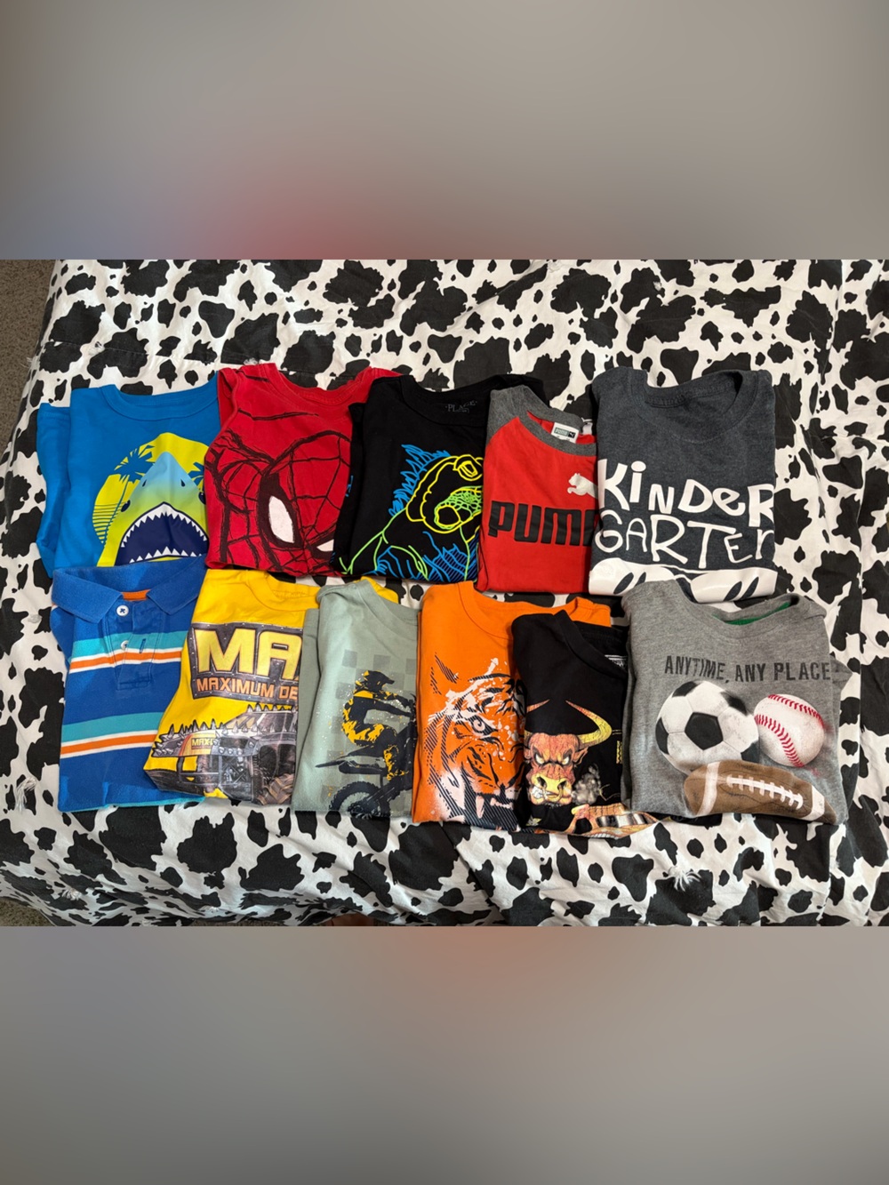 Graphic T-Shirt Lot with Bright Prints (11 shirts)